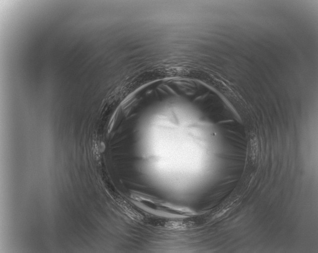 X0000055970613200509162200