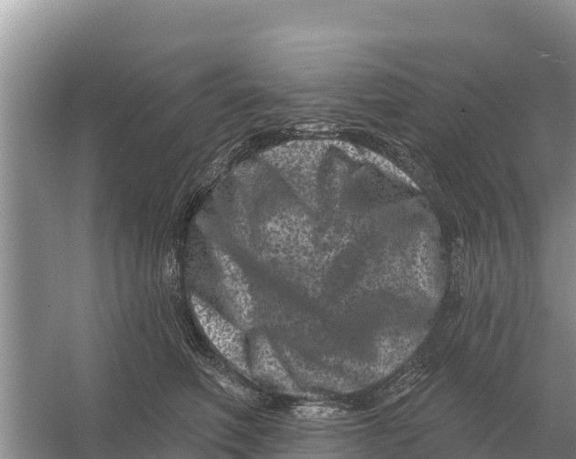 X0000055970614200509162200