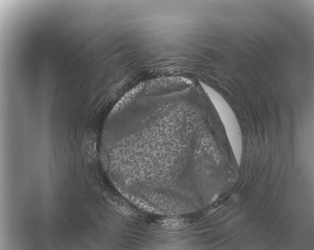 X0000055970615200509162200