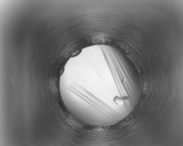 X0000055970616200509162200