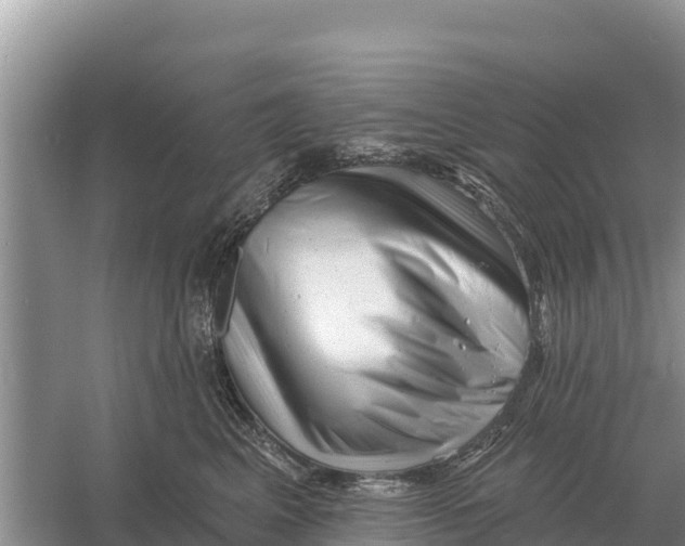 X0000055970617200509162200