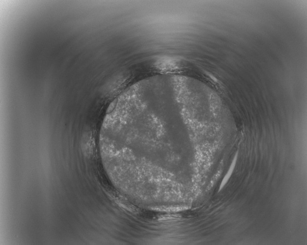 X0000055970618200509162200