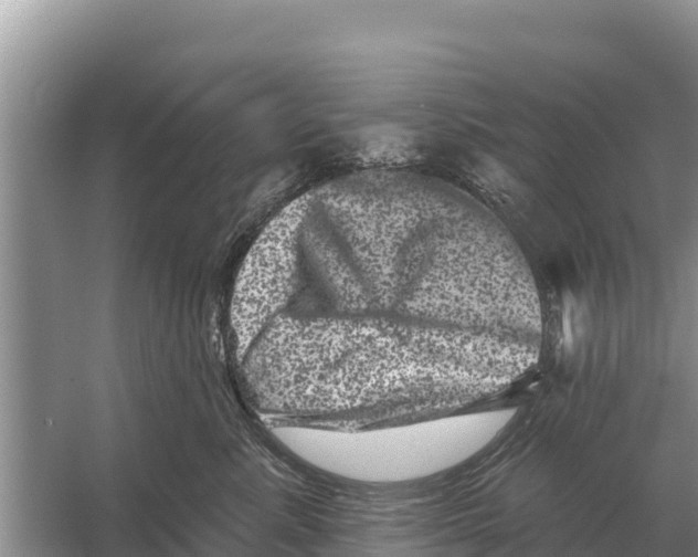 X0000055970619200509162200