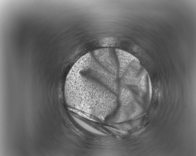 X0000055970620200509162200