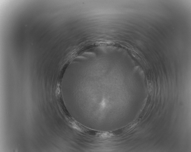 X0000055970621200509162200