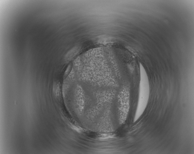 X0000055970623200509162200