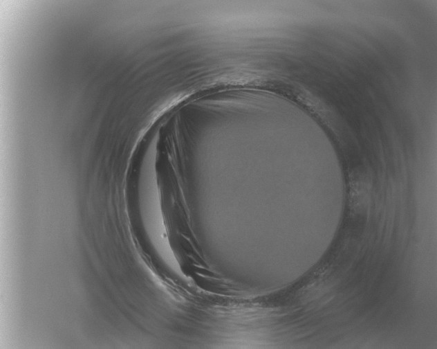 X0000055970626200509162159