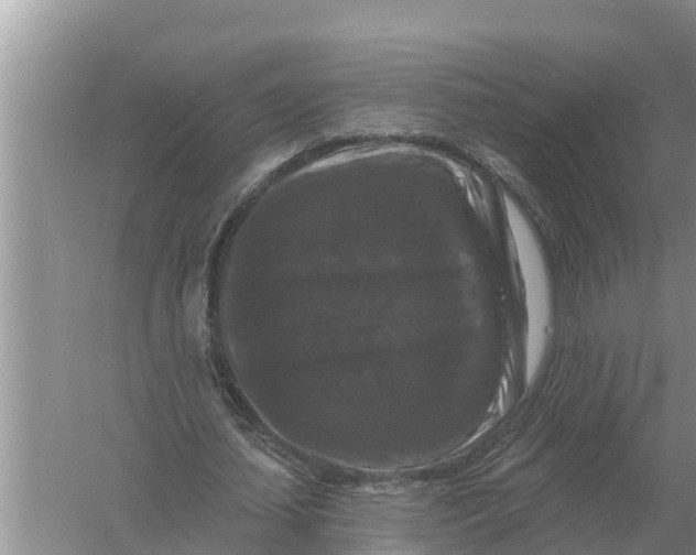 X0000055970627200509162159