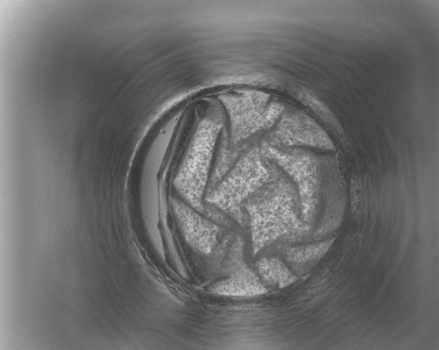 X0000055970628200509162159