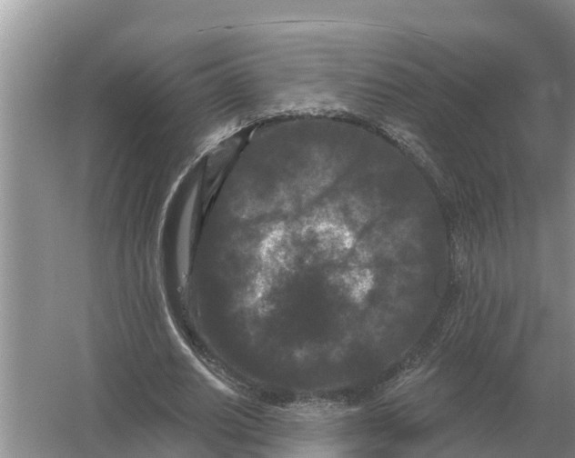 X0000055970630200509162159