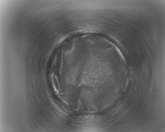 X0000055970631200509162159