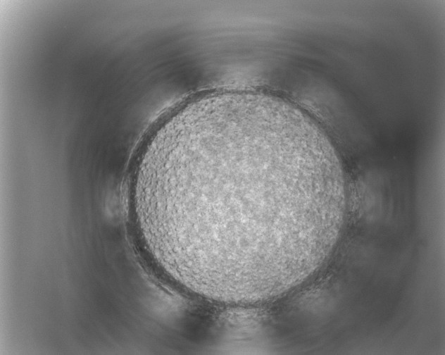 X0000055970632200509162159