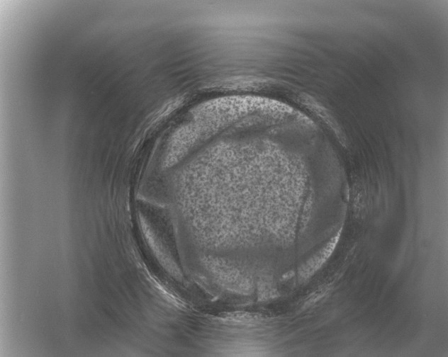 X0000055970633200509162159