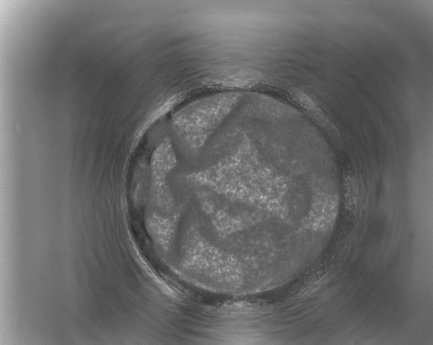 X0000055970634200509162159