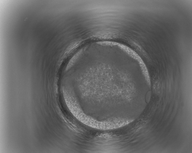 X0000055970635200509162159