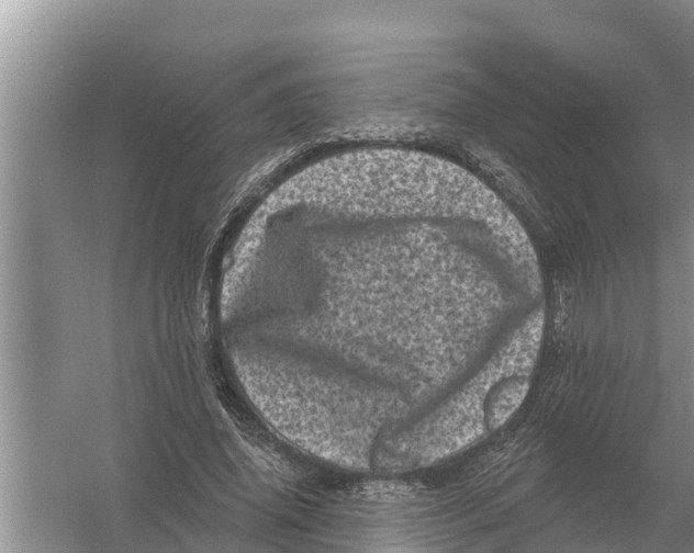 X0000055970636200509162159