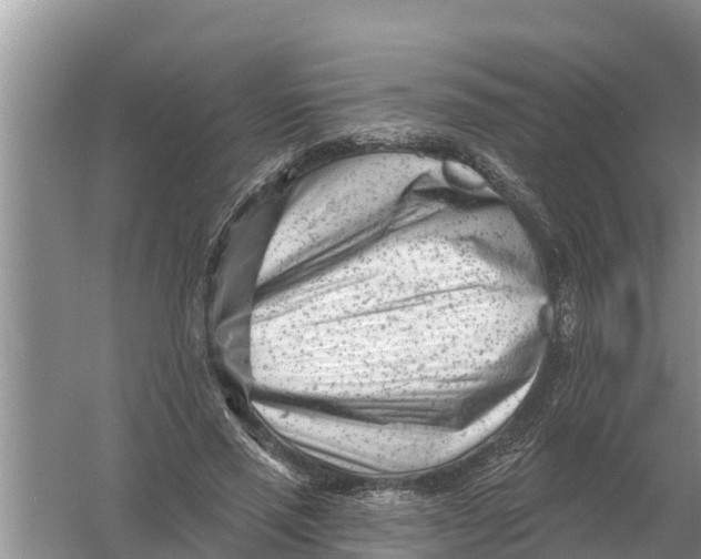 X0000055970637200509162159