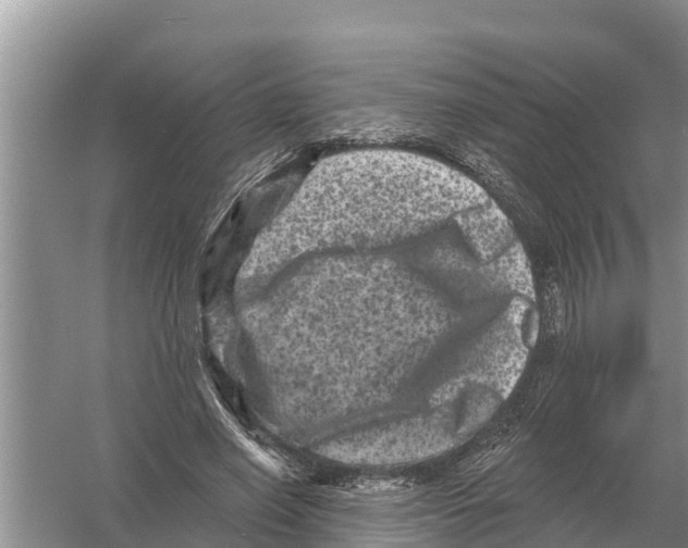 X0000055970638200509162159