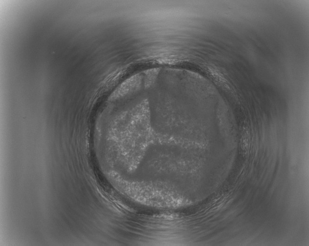 X0000055970639200509162159