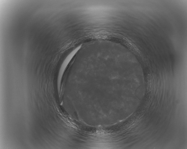 X0000055970641200509162159