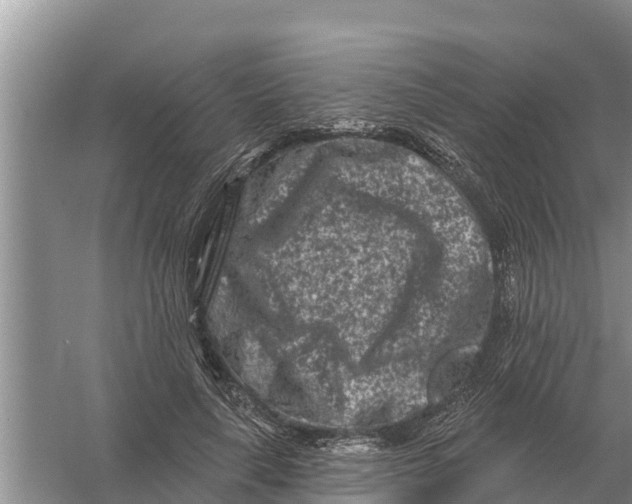 X0000055970643200509162159