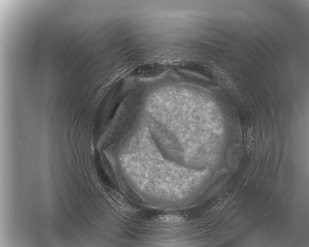 X0000055970644200509162159