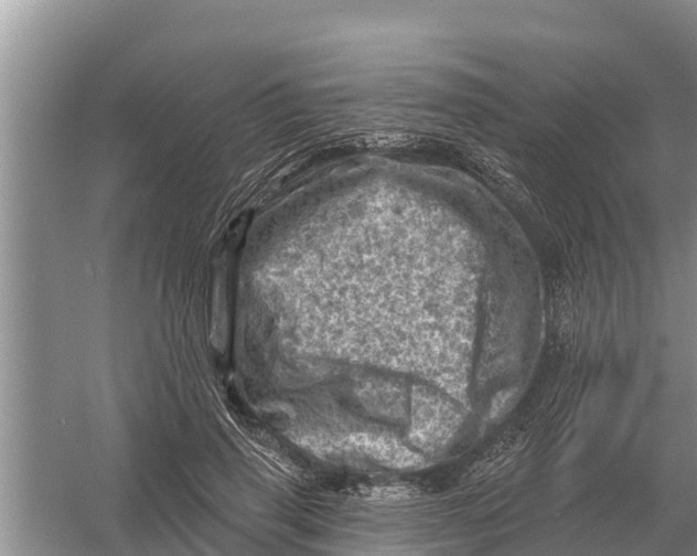 X0000055970645200509162159