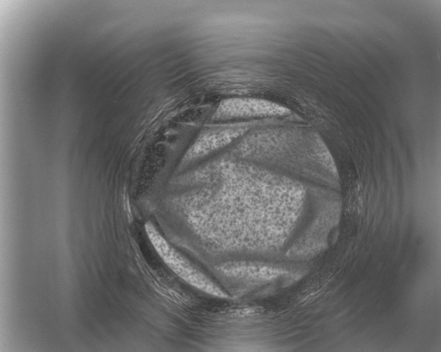 X0000055970646200509162159