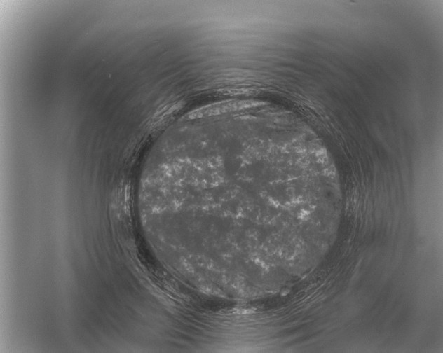 X0000055970647200509162159