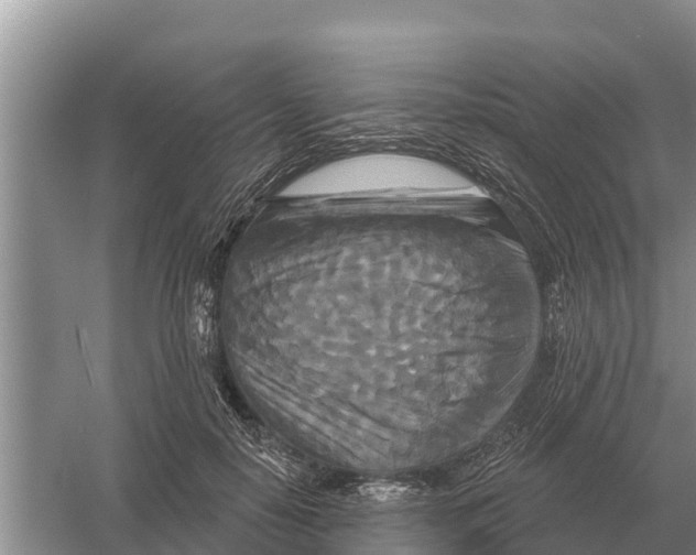 X0000055970650200509162159