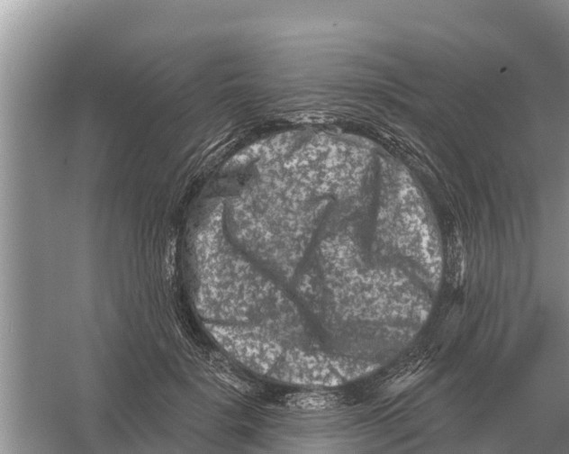 X0000055970652200509162159