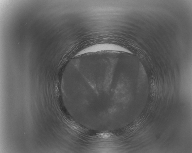 X0000055970654200509162200