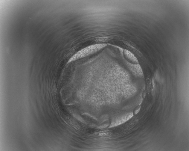 X0000055970655200509162200