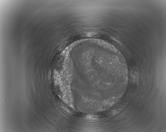 X0000055970657200509162200