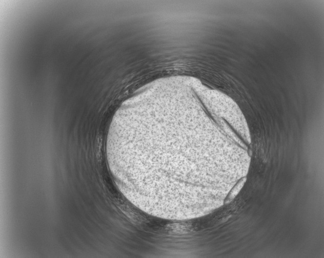 X0000055970660200509162200