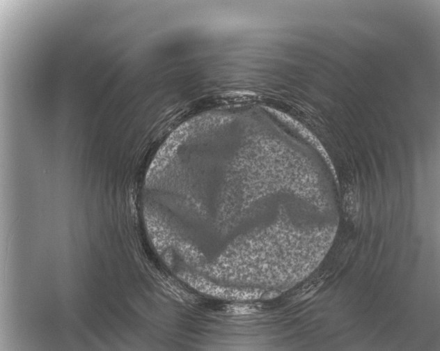 X0000055970662200509162200