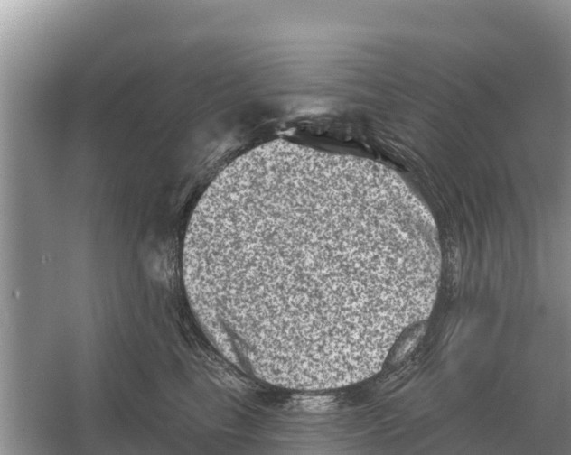 X0000055970665200509162200