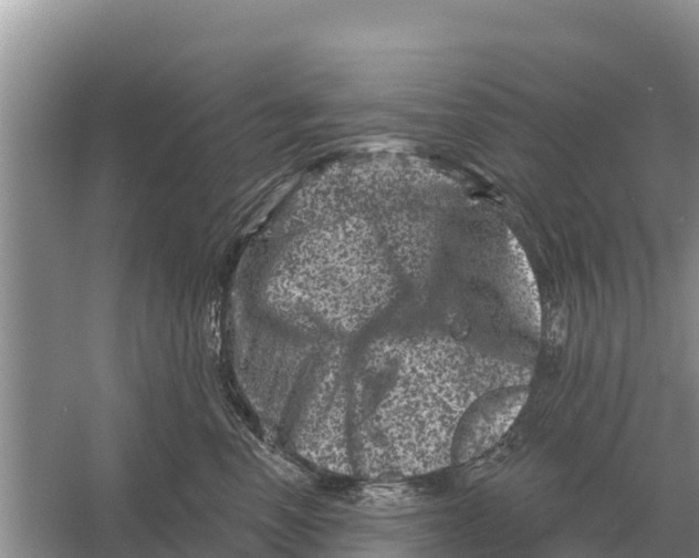 X0000055970666200509162200