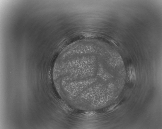 X0000055970667200509162200