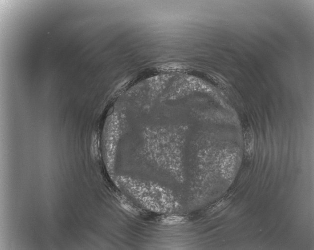 X0000055970669200509162200