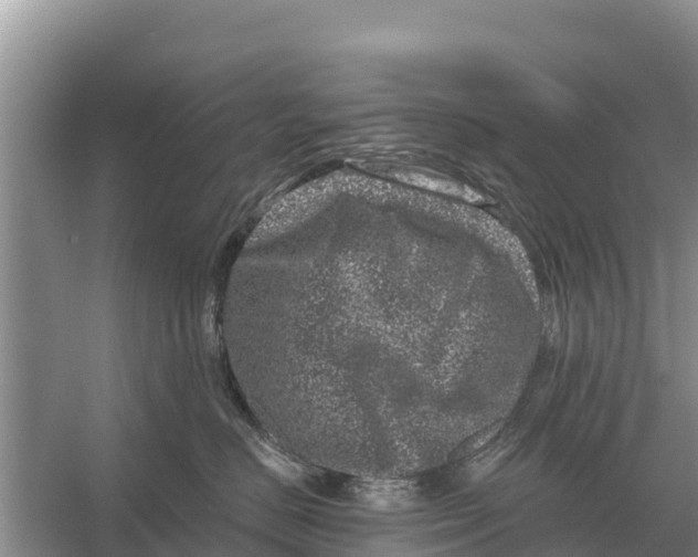 X0000055970670200509162200