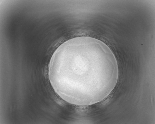 X0000055970672200509162200