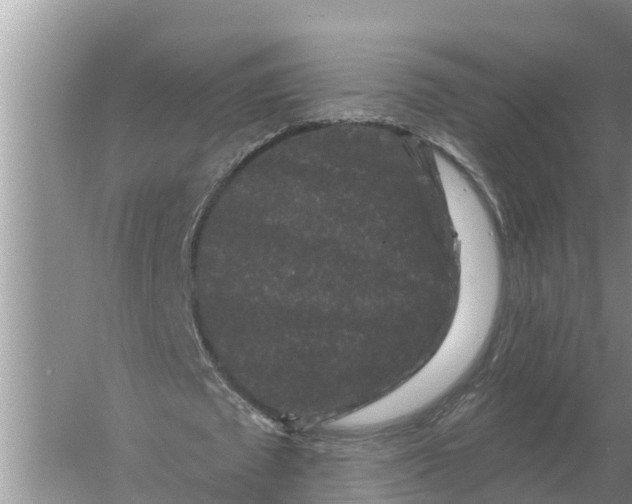 X0000055970673200509162159