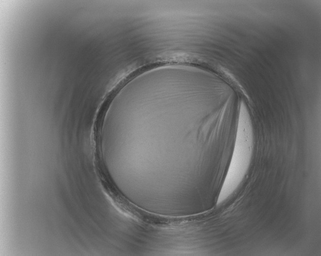 X0000055970674200509162159