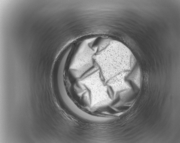 X0000055970676200509162159