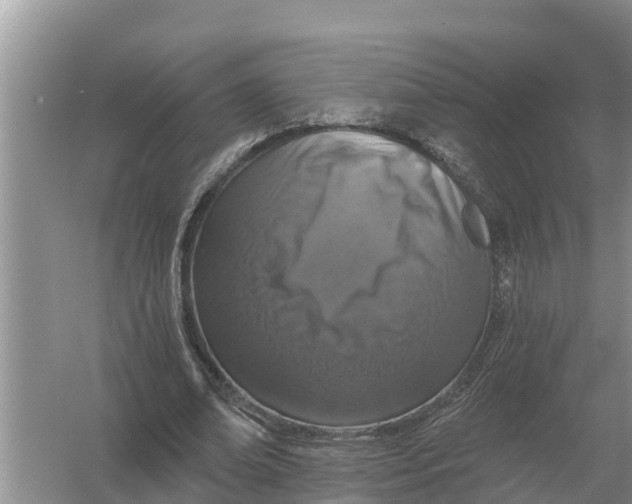 X0000055970678200509162159