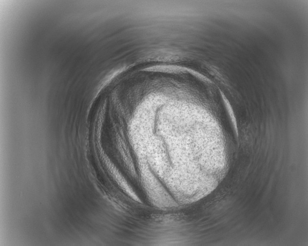 X0000055970679200509162159