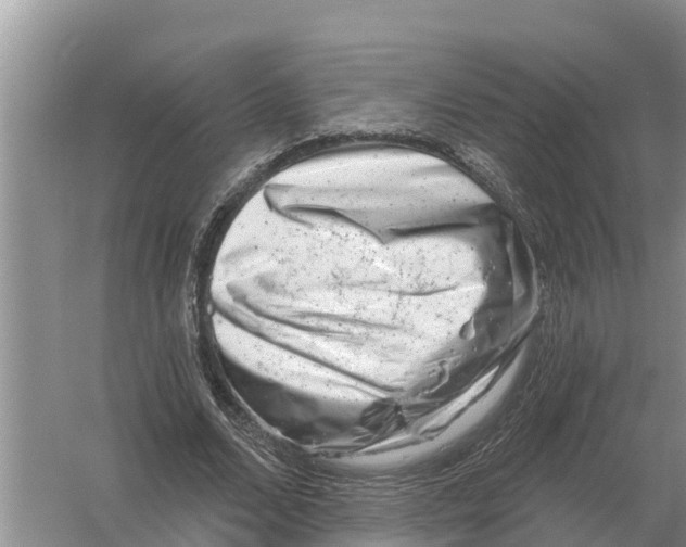 X0000055970680200509162159