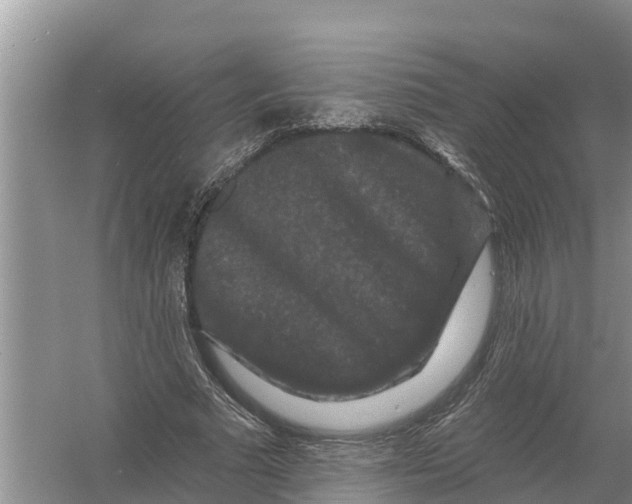 X0000055970681200509162159