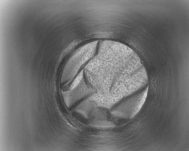 X0000055970682200509162159